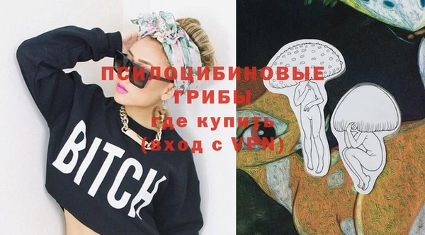 ECSTASY Абаза