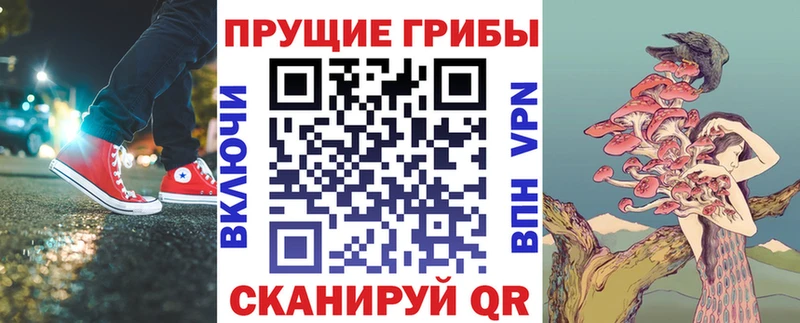 Галлюциногенные грибы Cubensis  Иваново 