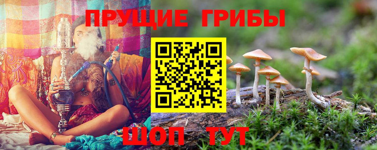Галлюциногенные грибы Psilocybe  Псилоцибиновые грибы мухоморы  Иваново  Вход с VPN 