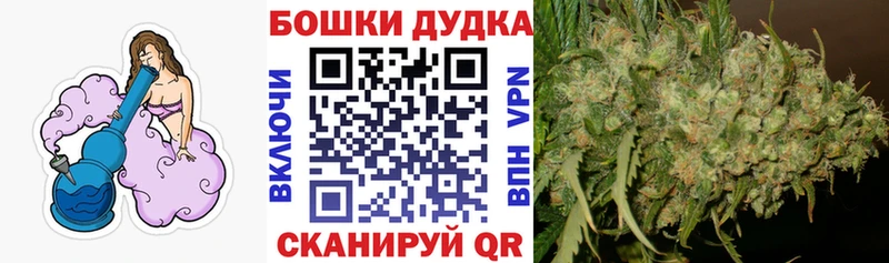 Конопля марихуана  Иваново 